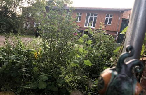 Ferienhaus Hof Papenwohld - Naturpark, Gartensauna - Foto 63