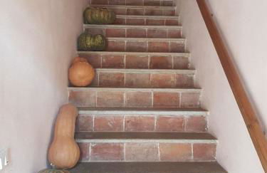 Azienda Agricola Cascina Monticone - Foto 11