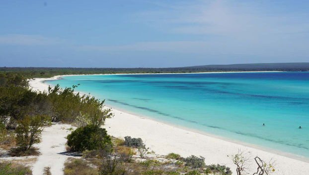 Bahía de las Águilas Day Trip from Barahona - Foto 2