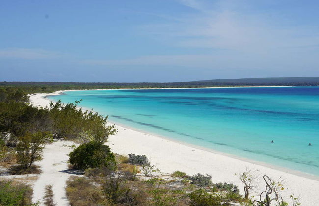 Excursion à Bahía de las Águilas - Photo 2