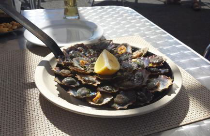 Harbour House - Photo 26