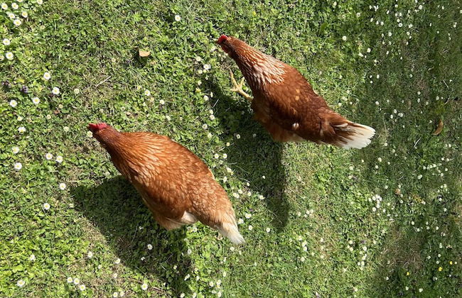 Cozy Cabin Retreat in Gloucestershire - Foto 12