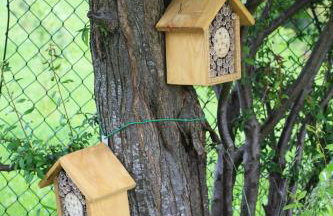 Cichosza - The Sound Of Silence - Foto 32