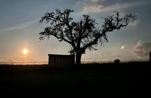 Pension Bauernhaus Vetter - Photo 20