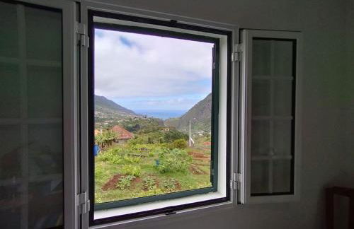 Terra Batista house - Photo 29