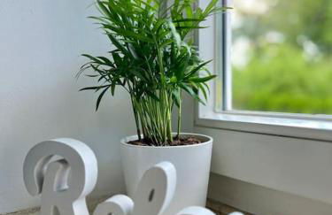 bloom - klein und fein mit Seezugang u WLAN - Foto 42