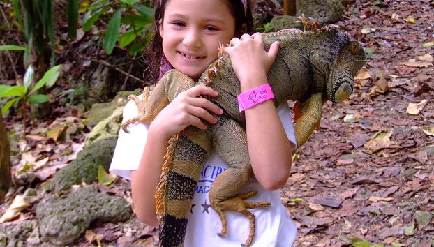 Atardecer en Negril y entrada a dolphin cove - Foto 3