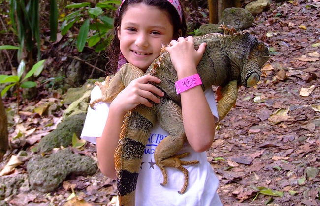 Atardecer en Negril y entrada a dolphin cove - Foto 3