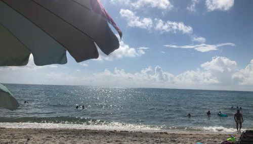 The Blue Island - Foto 3