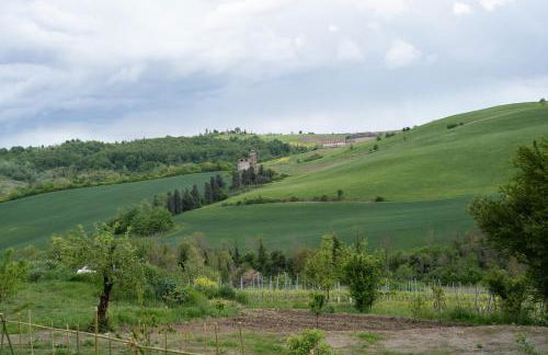 Cascina Pelizza - Foto 7