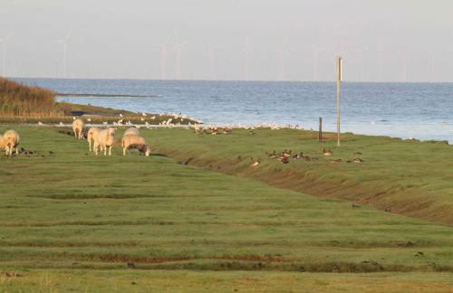 Ferienhaus Dollartbrise 45005 - Foto 6