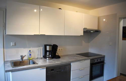 FVH Family Vacation Heidelberg - Foto 8