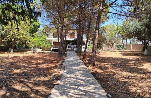 Makineia Sea Side House - Foto 13