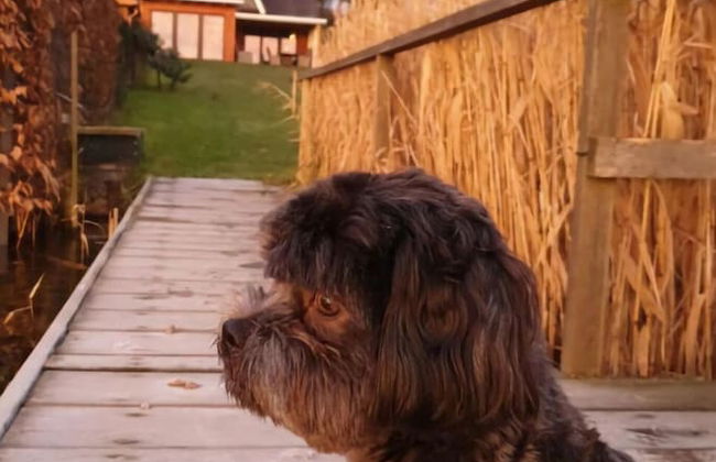 Schaal Lake Residence - Foto 19