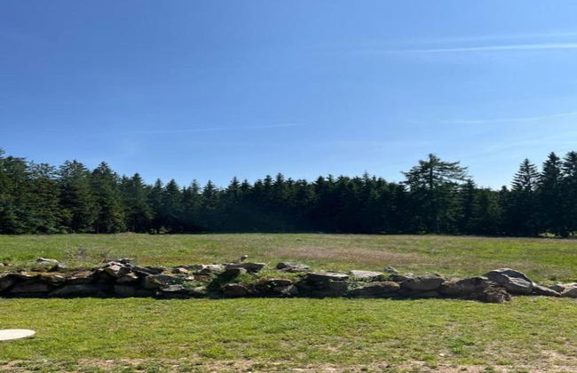 Chalet in Ore Mountains Near Ski Slopes - Foto 32