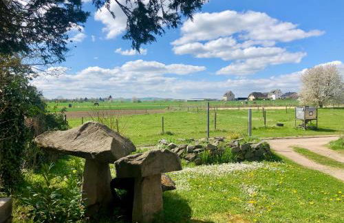 Wandertraum Johann - FeWo Eifel - Foto 16