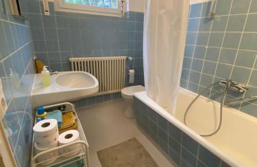 Lichtblick unter der Buche - Foto 12