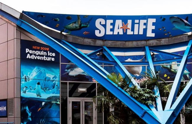 Sevenstays Broadway Residences - One Bedroom - Foto 19