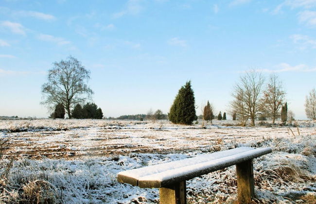 Apartment at the Eichenpark - Foto 11