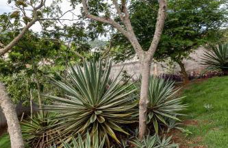 Praia de Geriba - Fantastica Vista Mar - Foto 77