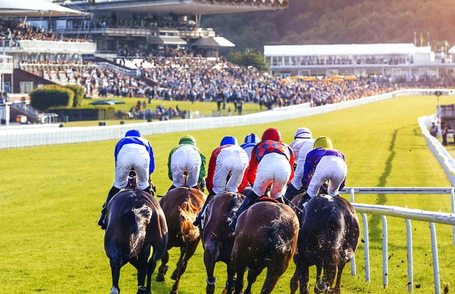 Stylist Split Level 2 Bed With Parking - Foto 24