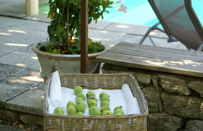 Splendid Villa in Viens With Swimming Pool - Foto 80