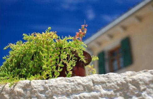 Villa Gelci - Foto 30