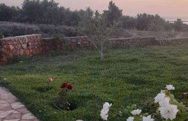 "Villa Othon-Leni" - Panoramic Sea View & Traditional Luxury - Photo 29