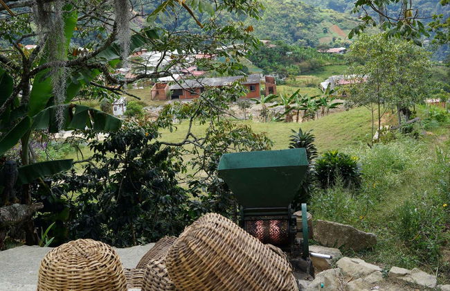 Tour do café por Medellín - Foto 8