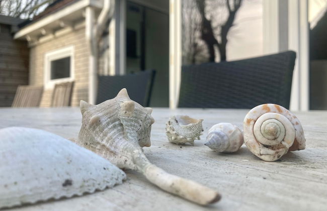 Holiday Home - 8 Persons - With Sauna at the Lauwerslake Near Wadden Sea - Photo 8