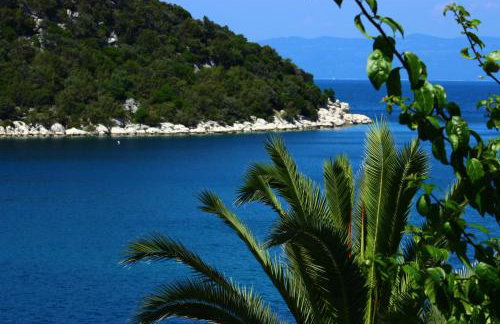 Apartments Leo Katić - Foto 25