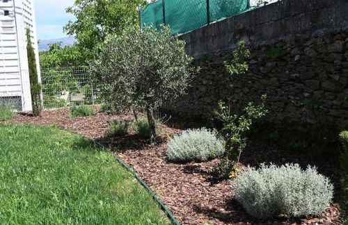 Casa de Trás-o-Muro - Foto 11