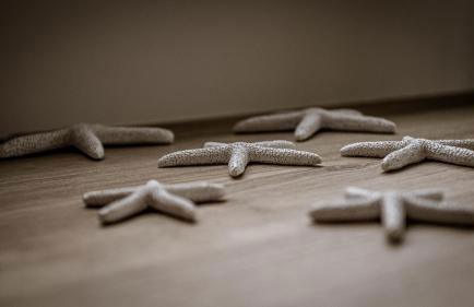 TY MARIE, Ploumanach - Foto 31