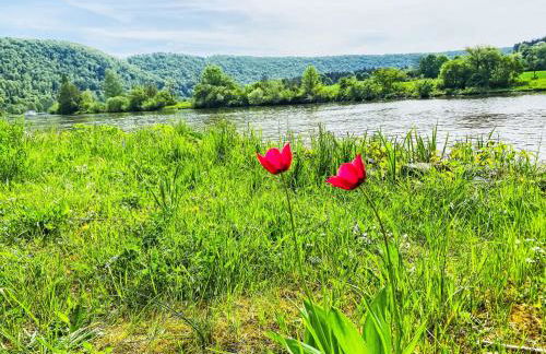 Holiday Home Tiny Haus Christas Angler-Oase by Interhome - Foto 19