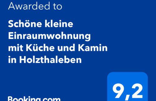 Schöne kleine Einraumwohnung mit Küche und Kamin in Holzthaleben - Photo 9