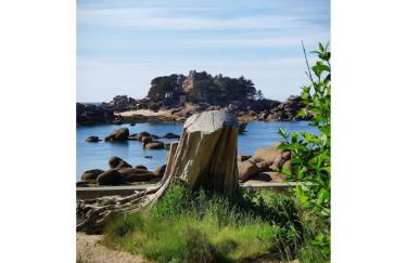 Gîte de Kerninon Maison spacieuse et lumineuse - Photo 35