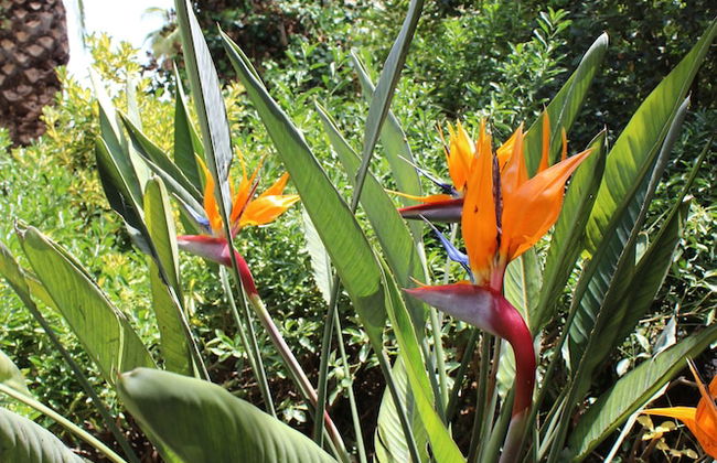 Masseria Pagani - Photo 68