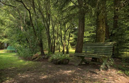 Zezuj Agroturystyka i Łowisko - Photo 70