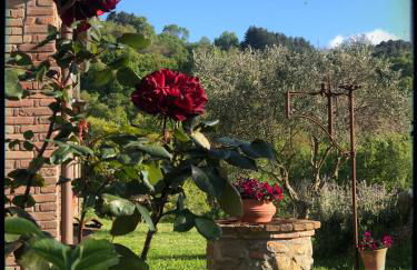 Podere Mazzarelle - Foto 17