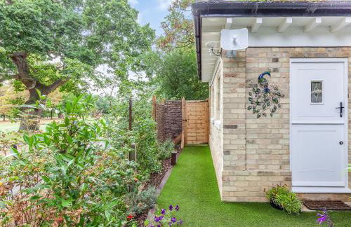 Peacock On The Pin - Foto 18