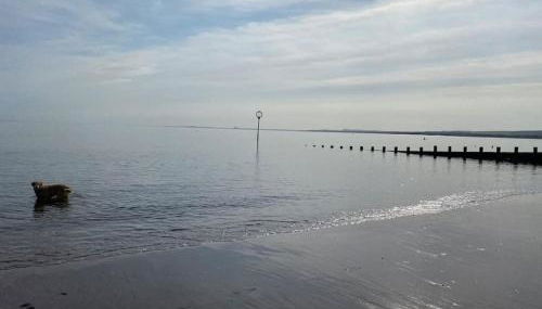 Number 70, Portobello, Edinburgh - Foto 5