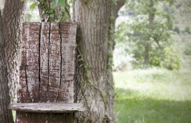 Il Colombaio di Cencio - Foto 56