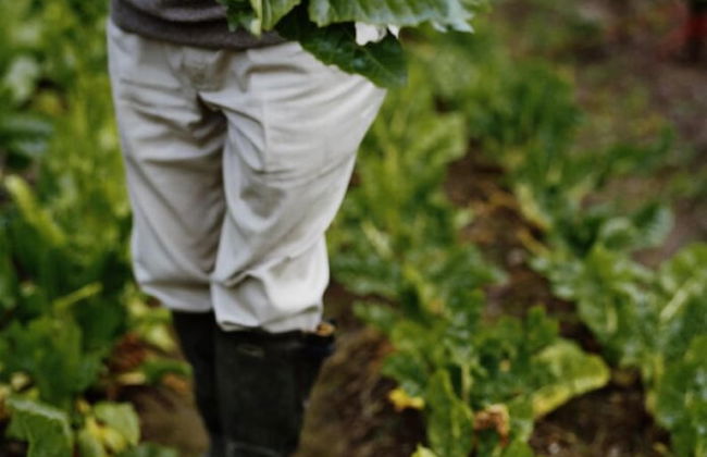 Ballyvolane House - Photo 59