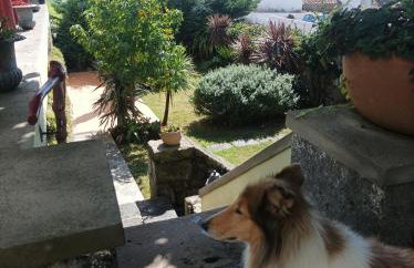 Casa do Plátano - Photo 76