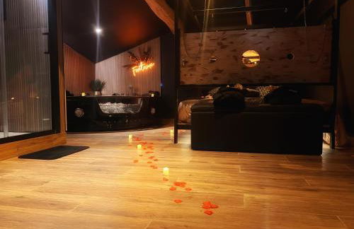 Love Room Fantasme 50 Nuances - Photo 11