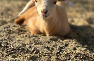 Peaceful & Cozy 3 bedroom Ranch-Home w/Fireplace - Foto 28