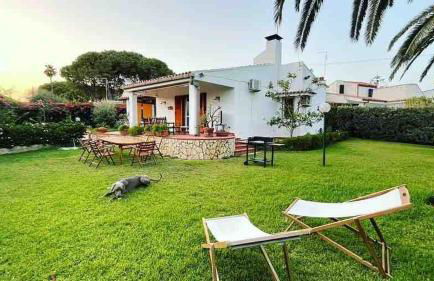 Le tre Palme - Foto 55