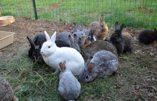 Apartmenthaus Sabine - Photo 31