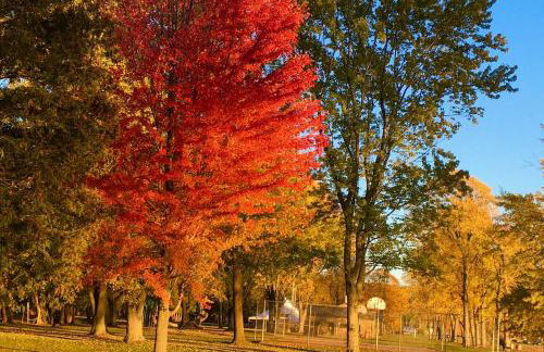 Lake Champlain Home with Decks, Kayaks and Fire Pit! - Foto 43