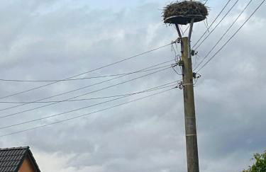 Am Storchennest - Foto 19